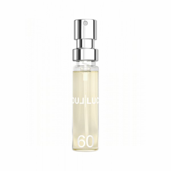 Amostra 6ML F60