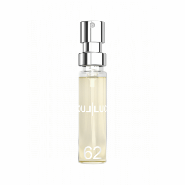 Amostra 6ML F62