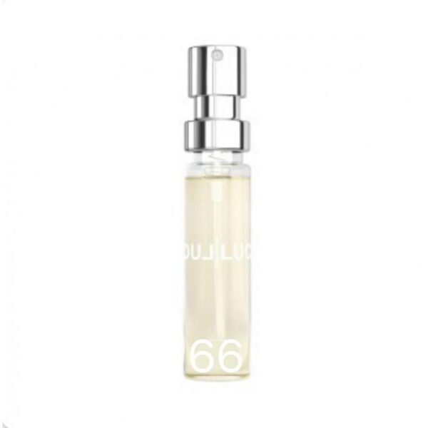 Amostra 6ML F66