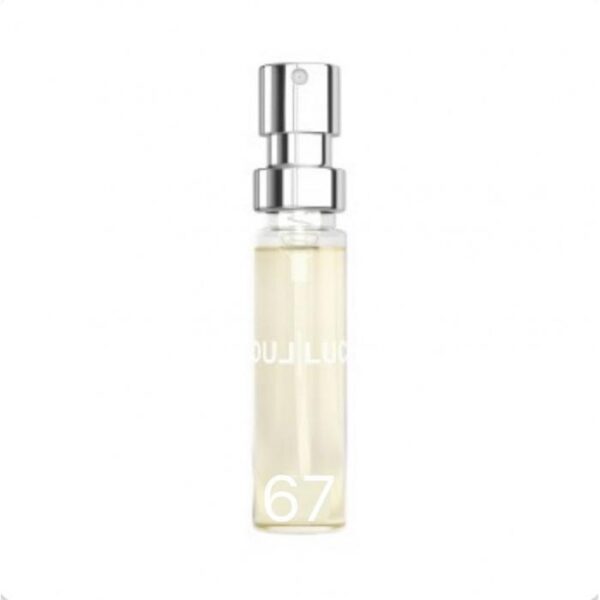 Amostra 6ML M67