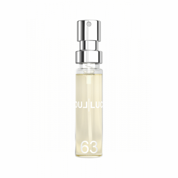 Amostra 6ML F63