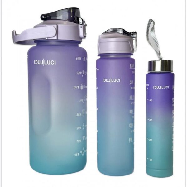 Garrafa Personalizada Luci Luci (Azul e Roxo) - com 3 unidades.