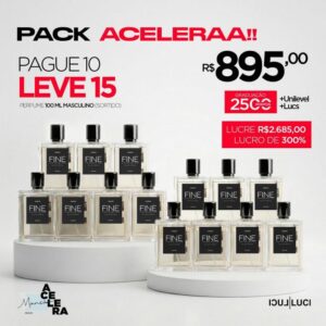 PACK ACELERAA PAGUE 10 LEVE 15 Perfumes Masculinos 100ml
